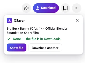 QSaver panel: done — the file is in Downloads