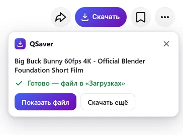 Панель QSaver: готово — файл в «Загрузках»