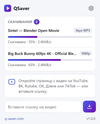 Окошко QSaver: два скачивания с процентами и поле для ссылки